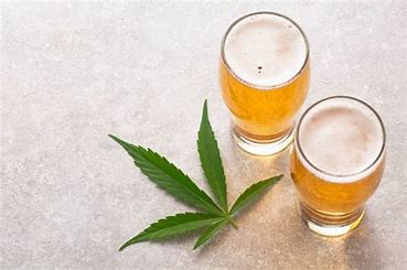 Le CBD dans les Boissons : Explorez nos Bières et Infusions au CBD !