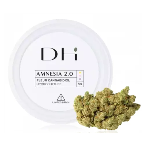 FLEURS CBD AMNESIA 2.0 - High CBD