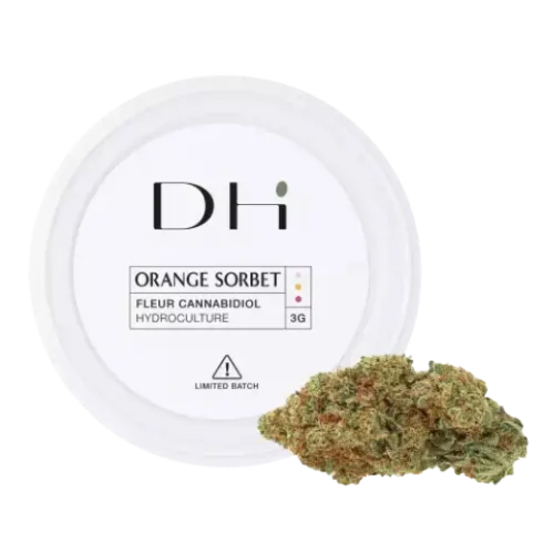 FLEURS CBD ORANGE SORBET - High CBD