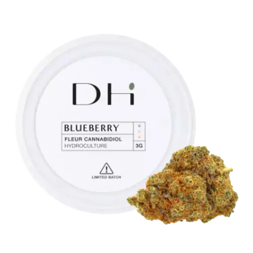 FLEURS CBD BLUEBERRY - High CBD