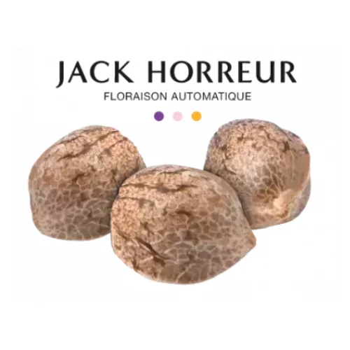 GRAINE CBD - JACK HORREUR AUTOMATIQUE - High CBD